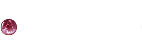 当店のご紹介